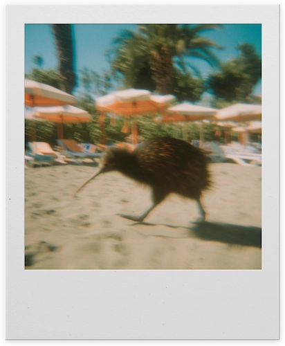 Polaroid Photo of a Kiwi in Italy