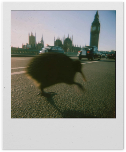 Polaroid Photo of a Kiwi in London