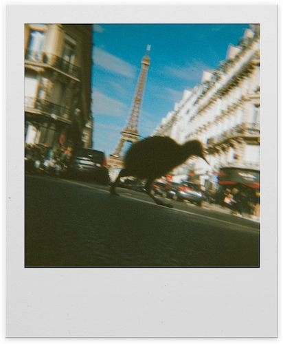 Polaroid Photo of a Kiwi in Paris